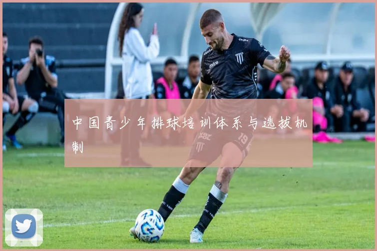 中国青少年排球培训体系与选拔机制
