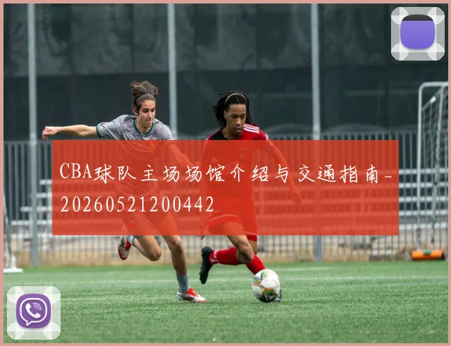 CBA球队主场场馆介绍与交通指南_20260521200442