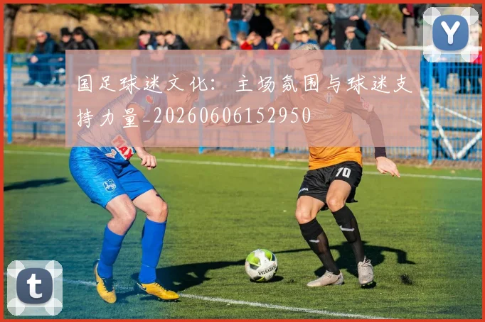 国足球迷文化：主场氛围与球迷支持力量_20260606152950