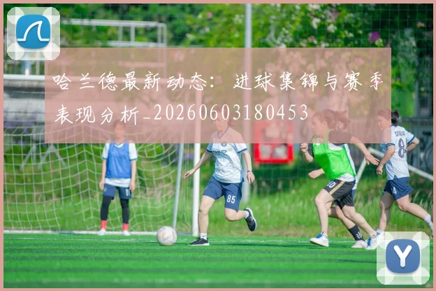 哈兰德最新动态：进球集锦与赛季表现分析_20260603180453