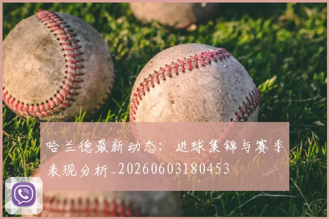 哈兰德最新动态：进球集锦与赛季表现分析_20260603180453