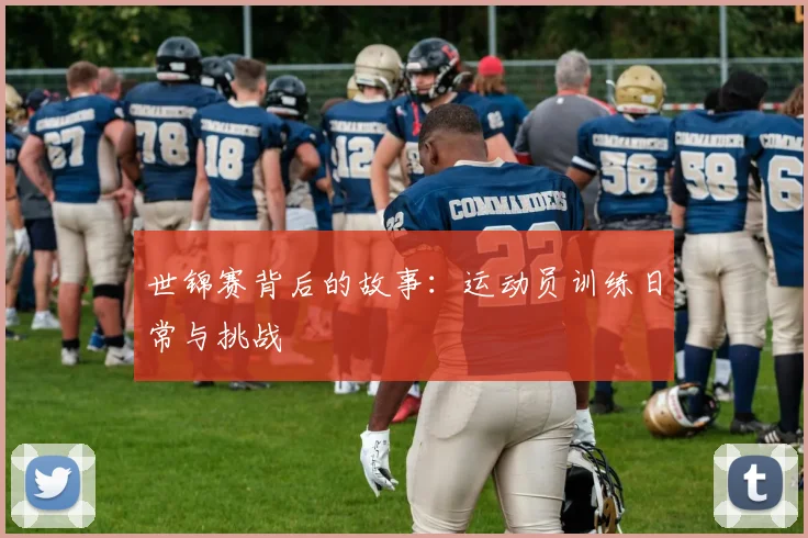 世锦赛背后的故事:运动员训练日常与挑战